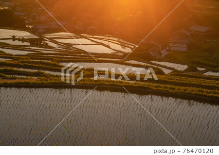 奈良県明日香村細川の夕刻の棚田を撮影 76470120