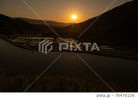 奈良県明日香村細川の夕刻の棚田を撮影 奈良県明日香村細川の夕刻の棚田を撮影 76470126