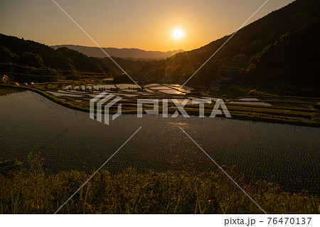 奈良県明日香村細川の夕刻の棚田を撮影 奈良県明日香村細川の夕刻の棚田を撮影 76470137