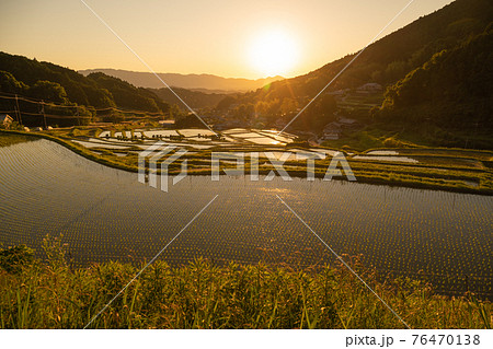 奈良県明日香村細川の夕刻の棚田を撮影 奈良県明日香村細川の夕刻の棚田を撮影 76470138