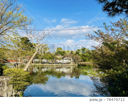 鎌倉 鶴岡八幡宮 源平池 鎌倉 鶴岡八幡宮 源平池 76470712