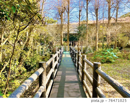 神奈川県三浦市 小松ケ池公園 神奈川県三浦市 小松ケ池公園 76471025
