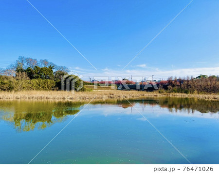 神奈川県三浦市 小松ケ池公園 神奈川県三浦市 小松ケ池公園 76471026