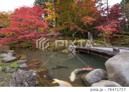 栃木県日光市の日光東照宮付近の輪王寺の紅葉と池と鯉の写真素材 