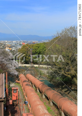 【京都府】晴天下の蹴上発電所導水管と満開の桜 【京都府】晴天下の蹴上発電所導水管と満開の桜 76471960