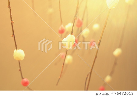 花のない季節に咲く餅花 76472015