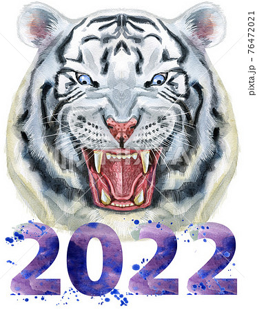 Hand drawn Tiger. Watercolor drawing white tiger head, blue eyes with number two thousand and twenty two 76472021