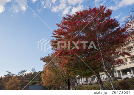 栃木県日光市の中禅寺湖の青空と紅葉 栃木県日光市の中禅寺湖の青空と紅葉 76472034