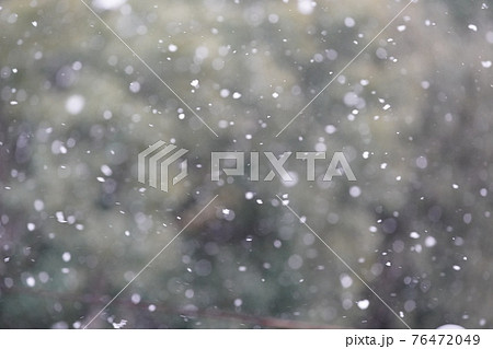木々を背景に雪が舞いちらついている 76472049