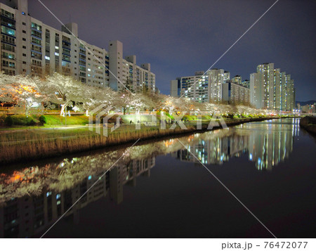 Night view of spring oncheoncheon stream, Busan, South Korea, Asia. Night view of spring oncheoncheon stream, Busan, South Korea, Asia. 76472077