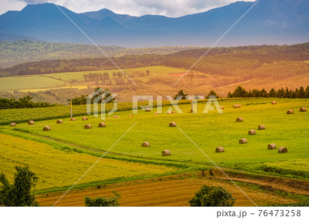 北海道の大草原のイメージ 北海道の大草原のイメージ 76473258