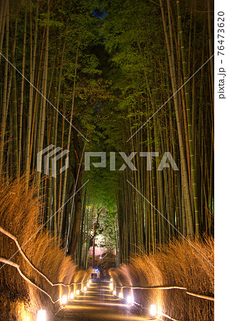 京都嵐山花灯路 竹林の小路2020 京都嵐山花灯路 竹林の小路2020 76473620