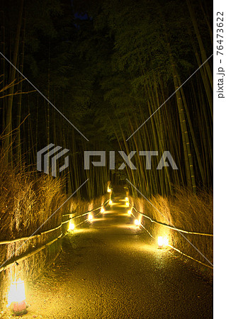 京都嵐山花灯路　竹林の小路2020 76473622