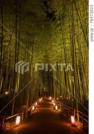 京都嵐山花灯路　竹林の小路2020 76473623