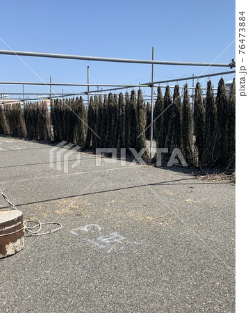 海苔網 海苔網 76473884