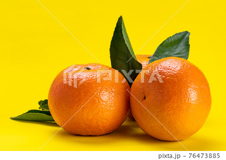 Side view of oranges with leaves isolated on yellow background. Side view of oranges with leaves isolated on yellow background. 76473885