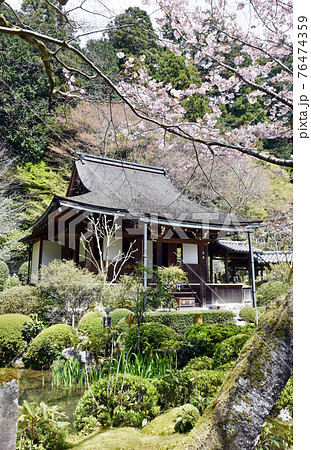 春の寂光院　本堂　京都市大原 76474359