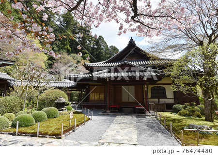 春の寂光院　書院　京都市大原 76474480