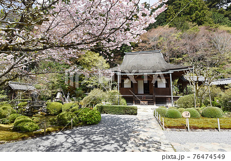 春の寂光院　本堂　京都市大原 76474549