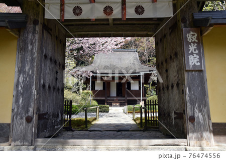 春の寂光院　山門から本堂を望む　京都市大原 76474556