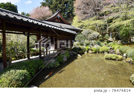 寂光院 四方正面の池と回廊 京都市大原 寂光院 四方正面の池と回廊 京都市大原 76474814