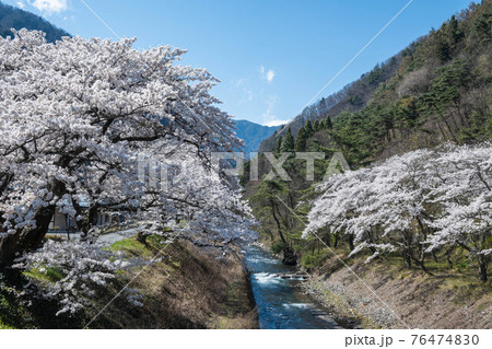 桜咲く春の徳本峠 桜咲く春の徳本峠 76474830