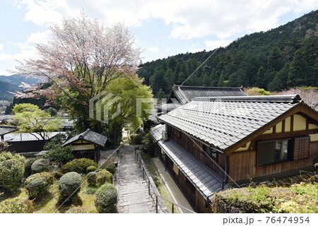 春の寂光院　建礼門院徳子大原西陵からの風景　京都市大原 76474954