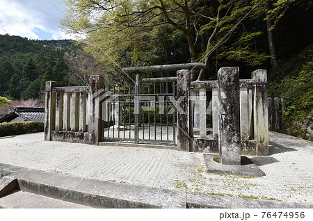 春の寂光院　建礼門院徳子大原西陵　京都市大原 76474956