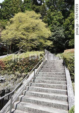 春の寂光院　建礼門院徳子大原西陵参道　京都市大原 76474959
