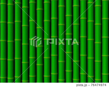 竹林のイラスト素材