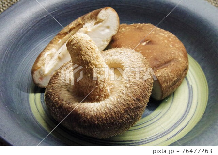 シイタケ シイタケ 76477263