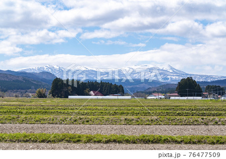 早春の船形連峰と雲 早春の船形連峰と雲 76477509