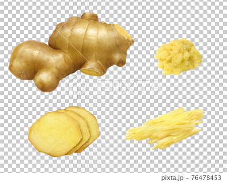 Ginger ginger illustration real 76478453