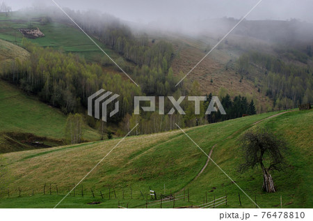 Clouds over the Carpathian Mountains, near Magura Village, Transylvania, Romania. 76478810