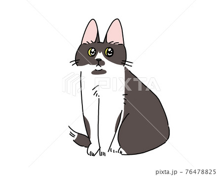 カジュアルな猫のイラスト カジュアルな猫のイラスト 76478825