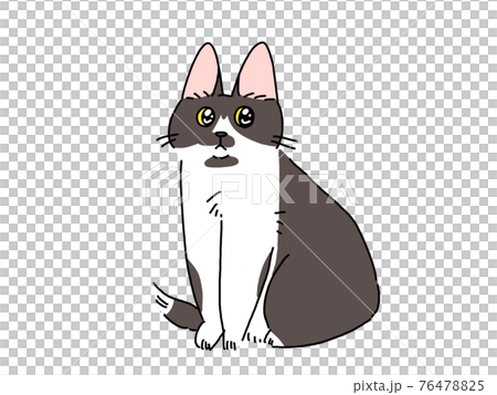 カジュアルな猫のイラスト カジュアルな猫のイラスト 76478825