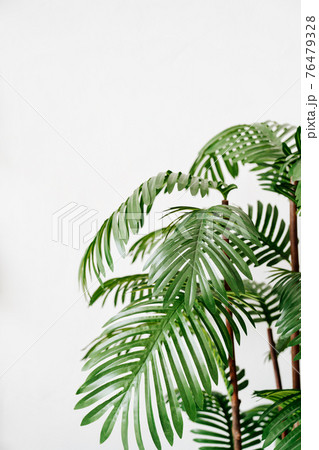 date palm. houseplant in interior. artificial palm tree in pot. date palm. houseplant in interior. artificial palm tree in pot. 76479328