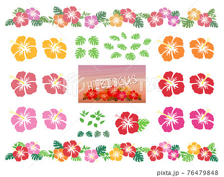 ハイビスカスの花とモンステラのイラスト素材セット 76479848