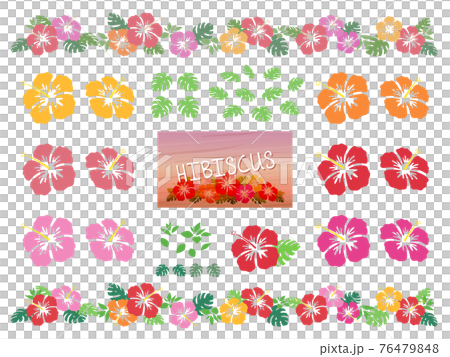 ハイビスカスの花とモンステラのイラスト素材セット 76479848
