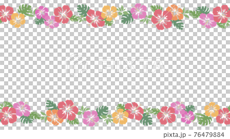 芙蓉花 line_frame_illustration material_16:9 76479884