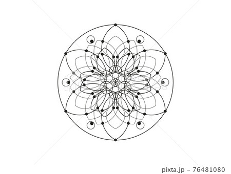 Flower of Life line art symbol Sacred Geometry.  Geometric mystic mandala of alchemy esoteric Seed of life. Vector black line logo divine meditative amulet isolated on white background 76481080