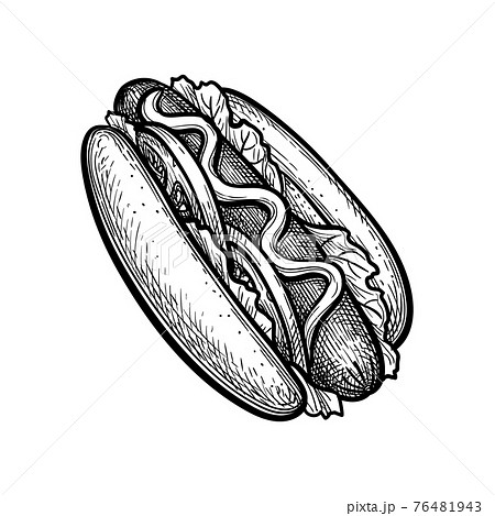 Ink Sketch Of Hot Dog のイラスト素材