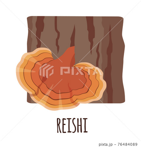 Reishi mushroom icon in flat styte isolated on white background. 76484089