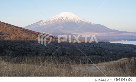 山梨県山中湖村パノラマ台から見た富士山 76484330