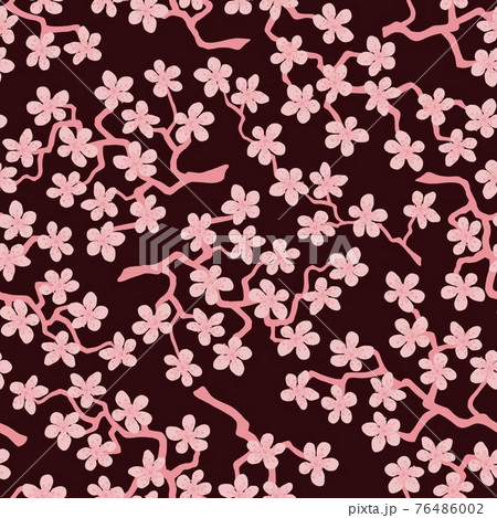 Seamless pattern with blossoming Japanese cherry sakura branches.Coral flower on burgundy background Seamless pattern with blossoming Japanese cherry sakura branches.Coral flower on burgundy background 76486002