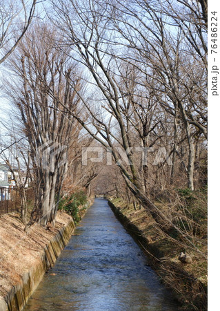 昭島市内を流れる玉川上水 昭島市内を流れる玉川上水 76486224