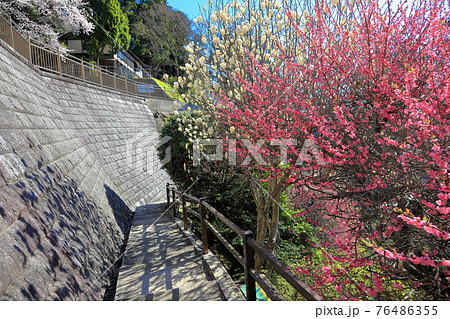 善宝寺境内 善宝寺境内 76486355