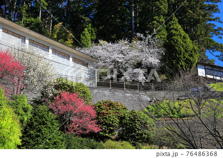 善宝寺境内 善宝寺境内 76486368