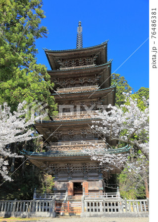 善宝寺　　五重塔と桜 76486381