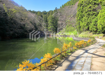 善宝寺　貝喰の池 76486571